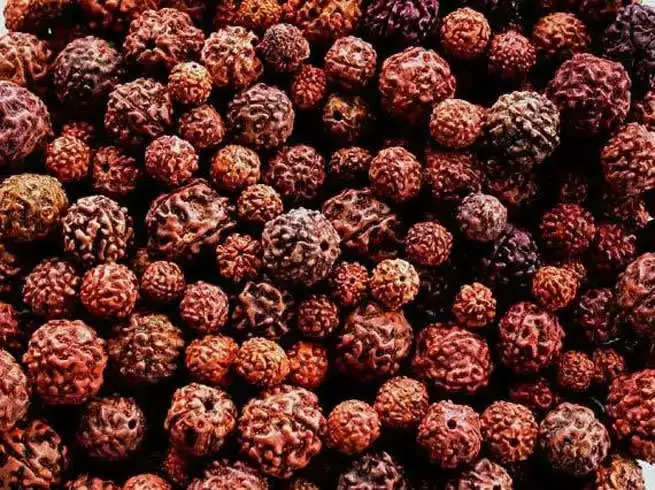 3 મુખી રુદ્રાક્ષ લાભ   