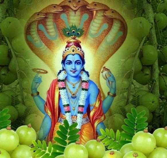 રંગભારી એકાદશી 2025 એકાદશી પર આ સરળ ઉપાય કરો 