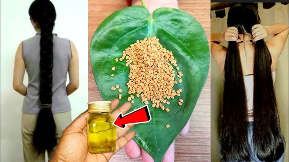 વાળના રંગને ના કહો! સોપારી પાંદડા, 5 મિનિટમાં સફેદ વાળ કાળા અને બાલ્ડ માથા પર પણ જાડા વાળ! 11 વાળ 6 માટે 516747 સોપારી પર્ણ લાભો