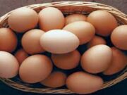 શું તમે પણ શિયાળામાં સ્વસ્થ રહેવા માટે કૃત્રિમ ઇંડા ખાઓ છો? આ રીતે ઓળખો