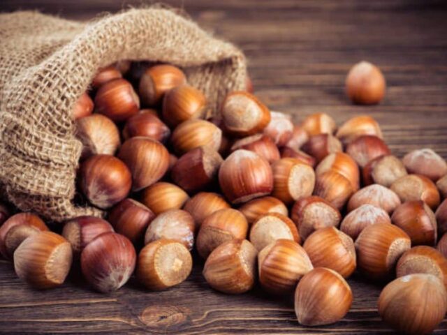 622608-hazelnuts-zee.jpg