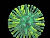 અમેરિકાના કેલિફોર્નિયામાં બર્ડ ફ્લૂના કારણે ઈમરજન્સી જાહેર કરવામાં આવી