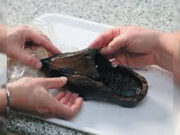 નેધરલેન્ડમાં 500 વર્ષ જૂના લાકડાના જૂતા મળી આવ્યા