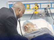 અજીબોગરીબ ઘટનાઃ એમ્બ્યુલન્સની ટક્કરથી મૃત્યુ પામેલી વ્યક્તિ સજીવન થઈ!