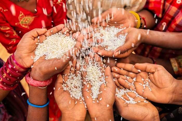 મકર સંક્રાંતિ 2025 મકર સંક્રાંતિ પર આ વસ્તુઓનું દાન ન કરો