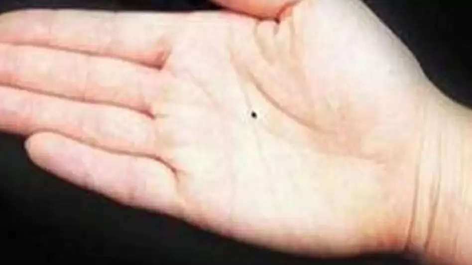 કેતુ માઉન્ટનો આ tupe નસીબદાર લોકોના હાથમાં છે
