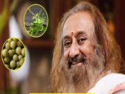 તુલસી-આમળાઃ સુકા મોંની સ્થિતિમાં આ 2 વસ્તુઓ ખાવાથી તમામ રોગો દૂર થશે, શ્રી શ્રી રવિશંકરે સ્વસ્થ રહેવાનું રહસ્ય જણાવ્યું.