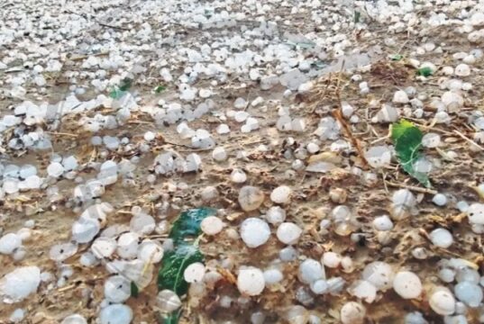 Gplus News રાજસ્થાનમાં ભારે કરા, થોડીવારમાં ખેતરો કરાની સફેદ ચાદરથી ઢંકાઈ ગયા, ખેડૂતોની વેદના – “અમે બરબાદ થઈ ગયા”