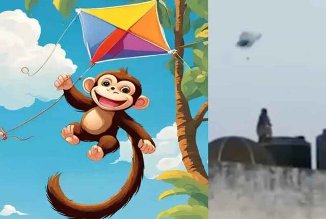 monkey-kite-flying.jpg
