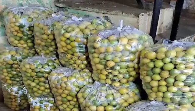 lemon-vegetables.jpg