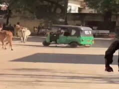 સુરતમાં સચિન વિસ્તારમાં રિક્ષામાં આવેલા શખસોએ જાહેરમાં આતંક મચાવ્યો