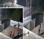 મોરબીના ટંકારમાં મિતાણા ગામે ખેડૂત ખેડૂત પર કર્યો, શ્વાનને કારણે બચ્યો બચ્યો બચ્યો બચ્યો બચ્યો બચ્યો બચ્યો બચ્યો બચ્યો બચ્યો બચ્યો બચ્યો બચ્યો બચ્યો બચ્યો બચ્યો બચ્યો બચ્યો બચ્યો બચ્યો બચ્યો બચ્યો બચ્યો બચ્યો બચ્યો બચ્યો