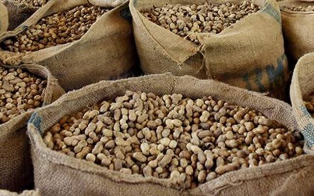 BL11GROUNDNUTS.jpg