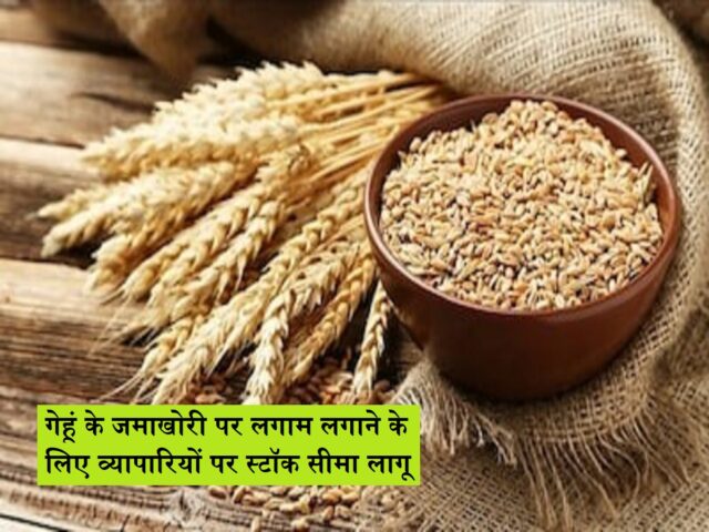 wheat-2.jpg