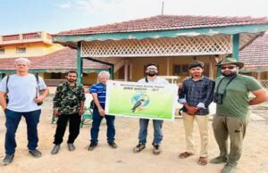 ગુજરાતના દરિયાકાંઠા વિસ્તારમાં પક્ષી પ્રેમીઓએ આમુર ફાલ્કન પક્ષી વિશે સંશોધન કર્યુ