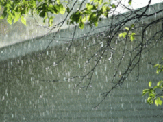 પંચમહાલના કેટલાક વિસ્તારમાં પડ્યુ માવઠું, અન્ય વિસ્તારોમાં વાદળછાયું વાતાવરણ