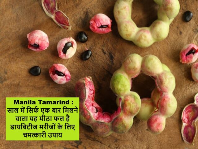 521616-manilia-tamarind-2.jpg