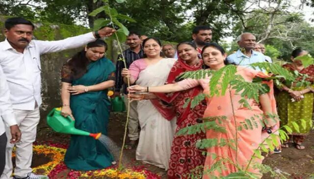 Gandhinagar-plantation.jpg