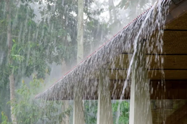 Rain.webp.webp
