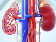 જો આ લક્ષણો પેશાબમાં જોવા મળે છે, તો પછી સમજો કે કિડની નિષ્ફળ ગઈ છે! તરત જ ડ doctor ક્ટરનો સંપર્ક કરો