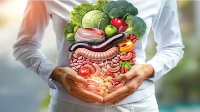 Gut-Health-Digestive-System_2080173160.jpg