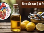 આ તેલ તમારા હૃદયનું ડૉક્ટર છે, તે કોલેસ્ટ્રોલથી લઈને હાઈ બીપી સુધી બધું જ નિયંત્રણમાં રાખશે.