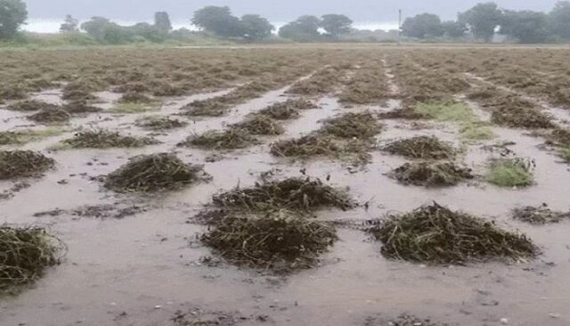 Farm-rain.jpg