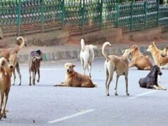 સરકારી તબીબો સહિત આરોગ્યના કર્મચારીઓ રખડતા કૂતરાની ગણતરી કરશે