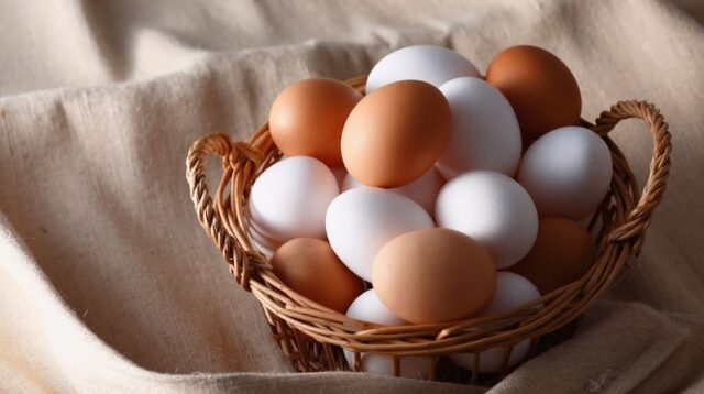Egg-for-weight-loss_1358461398.jpg