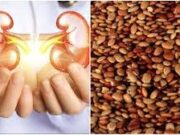 શું તમારા ઘૂંટણ શિયાળામાં માર્ગ આપે છે? પેઇનકિલર્સ છોડો અને તમારા રસોડામાં આ વસ્તુનો ઉપયોગ કરો