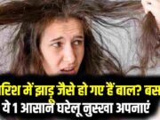 હેર કેર ટિપ્સ: શું ચોમાસામાં વાળ સાવરણીની જેમ નિર્જીવ થઈ ગયા છે? અપનાવો આ જાદુઈ ઘરગથ્થુ ઉપાય, તમને ઘરે બેઠા જ ગ્લો જેવું પાર્લર મળશે
