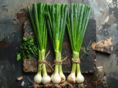 લીલી ડુંગળી, શિયાળાનો સુપરફૂડ, રોગપ્રતિકારક શક્તિને નવી ઉર્જા આપે છે.