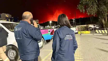 ચીલીમાં જંગલમાં લાગેલી આગએ વિનાશ સર્જ્યો! 19ના મોત બાદ સરકાર એક્શનમાં આવી, ઈમરજન્સી જાહેર કરી