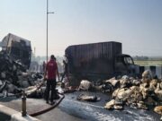 વટામણ-તારાપુર હાઈવે પર બે ટ્રક વચ્ચે અકસ્માત બાદ લાગી વિકરાળ આગ