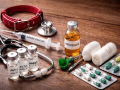 કર્ણાટક સરકાર હડકવાથી થતા મૃત્યુને શૂન્ય સુધી ઘટાડવાનું લક્ષ્ય ધરાવે છે, એક્શન પ્લાન લોન્ચ કરે છે