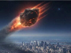 590 કરોડના કૌભાંડમાં ચકચાર મચી ગઈ! IDFC FIRST બેંકમાં હરિયાણા સરકારના ખાતામાંથી મોટી રકમ ગાયબ, જાણો સમગ્ર મામલો