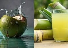 શેરડીનો રસ વિ નાળિયેર પાણી: ઉનાળામાં શું શ્રેષ્ઠ છે? શેરડીનો રસ કે નાળિયેર પાણી? આરોગ્ય માટે કયું પસંદ કરવું તે જાણો