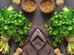 કિચન ગાર્ડનિંગ: તમે બજારમાંથી કોથમીર ખરીદવાનું ભૂલી જશો. ઘરે વાસણમાં લીલા ધાણા ઉગાડવાના 5 સરળ પગલાં.