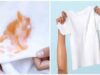 સફેદ કપડાની સંભાળ: શું સફેદ કપડા પર હળદર કે અથાણાના હઠીલા ડાઘ છે? આ 4 સરળ ઘરેલું ઉપચાર