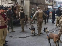 પાકિસ્તાન લોહીથી લાલ થઈ ગયું! 24 કલાકમાં બે મોટા આતંકી હુમલા, 11 લોકોએ જીવ ગુમાવ્યા