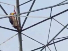 પુત્રને જામીન ન મળ્યા… મહિલા હાઈ ટેન્શન ટાવર પર ચઢી; 8 કલાક સુધી હાઇવોલ્ટેજ ડ્રામા ચાલ્યો હતો