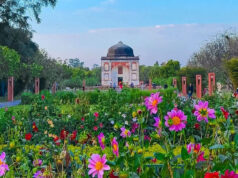 ‘રંગબેરંગી ફૂલો, શાંત તળાવ અને ધોધનો નજારો…’ જો તમે પ્રકૃતિ પ્રેમી છો તો રાજધાની દિલ્હીના સ્થળોની અવશ્ય મુલાકાત લો.