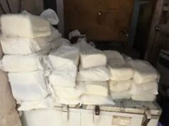 સુરતના પુણાગામની ડેરીમાંથી શંકાસ્પદ 329 કિલો પનીરનો જથ્થો પકડાયો