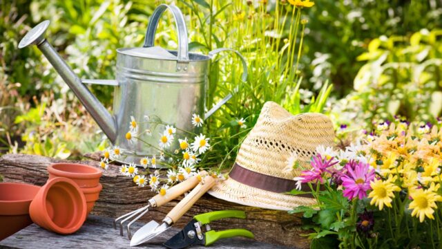 spring-gardening-tips-10-best_682198088.jpg