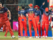 જોશ હેઝલવુડ બાદ RCBને વધુ એક ઝટકો, આ સ્ટાર વિદેશી ખેલાડી પણ IPLની અડધી મેચ રમી શકશે નહીં.