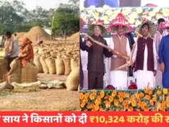 ખેડૂતો માટે ભેટ, ડાંગર ખરીદીની તફાવતની રકમ ખાતામાં જમા થઈ, CM સાંઈએ કરી ચૂકવણી…