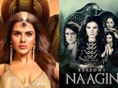 આ પાકિસ્તાની શો એકતા કપૂરના નાગીન 7 ની નકલ છે, જે અહીં પણ પાછળ રહી ગઈ છે