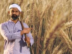 રાજ્યમાં 10 માર્ચથી ટેકાના ભાવે ઘઉંની ખરીદી શરૂ થશે