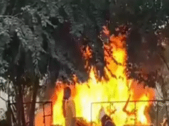 જ્યારે એક વ્યક્તિએ તેની પત્ની સાથે ઝઘડો કર્યો ત્યારે તેણે દહેજ તરીકે મળેલી વસ્તુઓ સળગાવી દીધી.