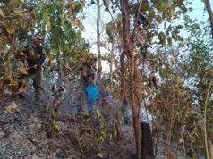 મણિપુરઃ ભારત-મ્યાનમાર ચેકપોસ્ટ પાસેના જંગલમાં આગ લાગી, સૈનિકોએ સમયસર તેને કાબૂમાં લીધી.